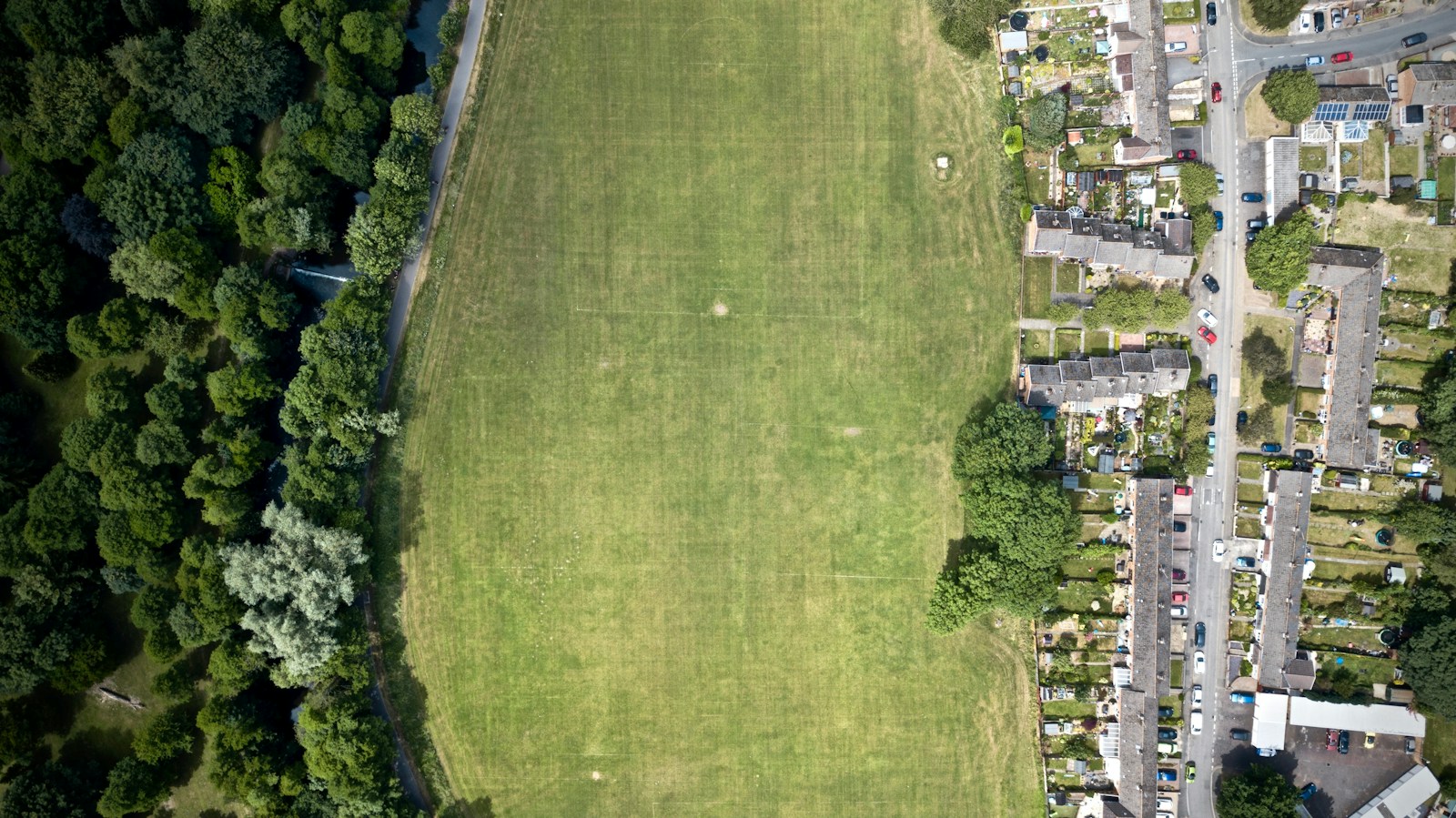 top-view photography of grass field at daytime